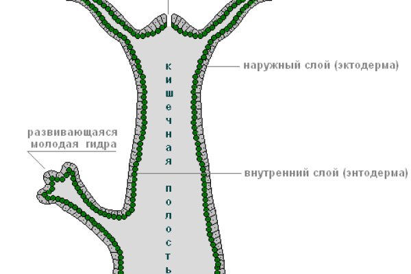 Кракен маркетплейс krk market com